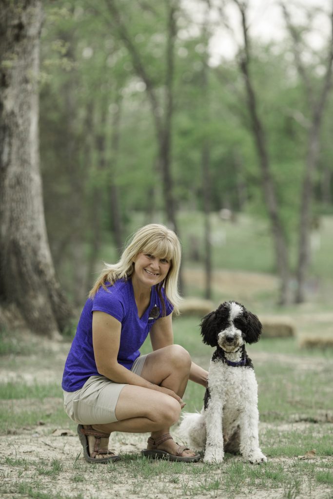 K9 Kamp Dog Training – Missouri