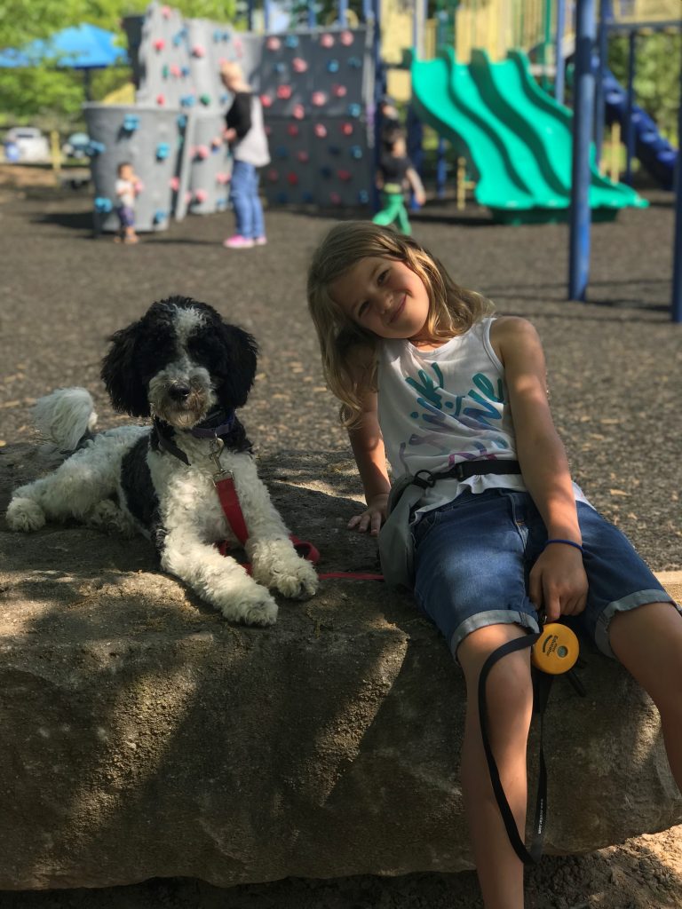 K9 Kamp Dog Training – Missouri