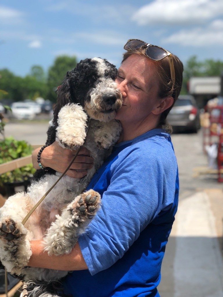 K9 Kamp Dog Training – Missouri