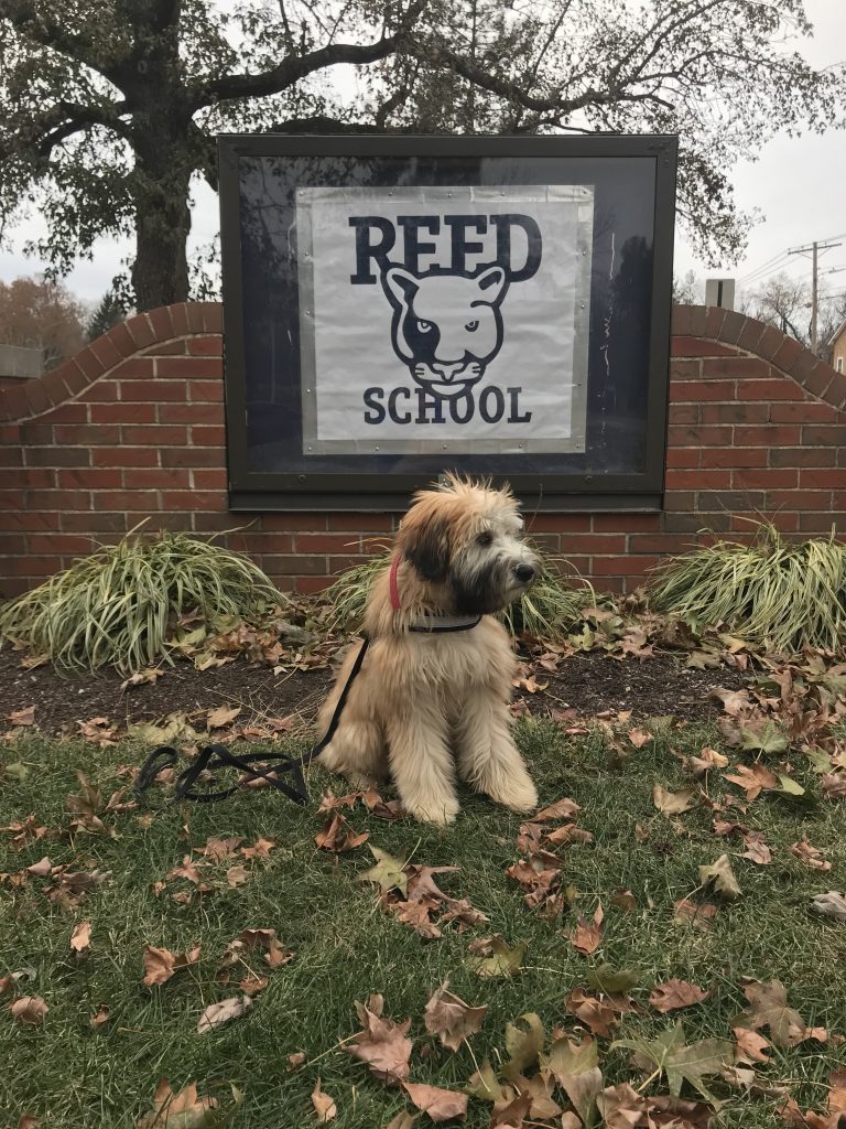 K9 Kamp Dog Training – Missouri
