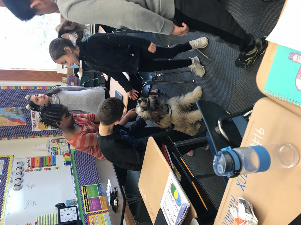 K9 Kamp Dog Training – Missouri