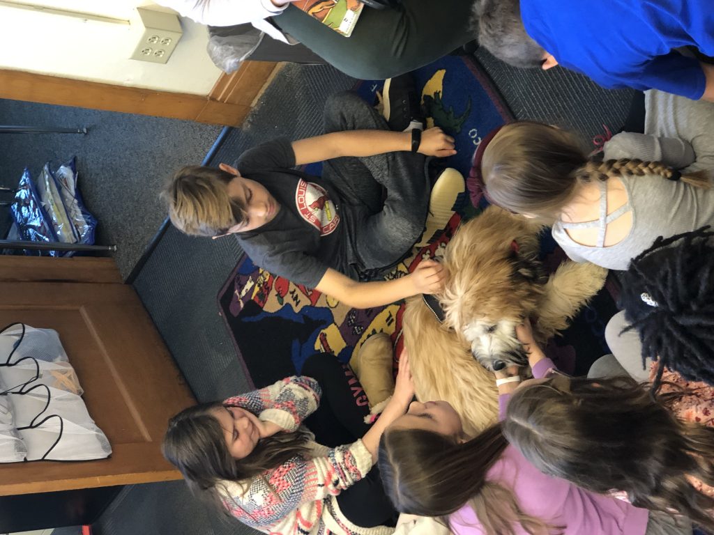 K9 Kamp Dog Training – Missouri