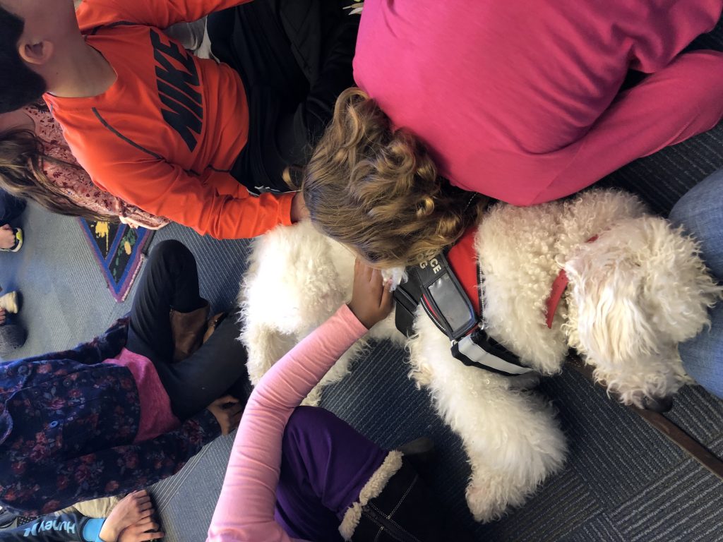 K9 Kamp Dog Training – Missouri