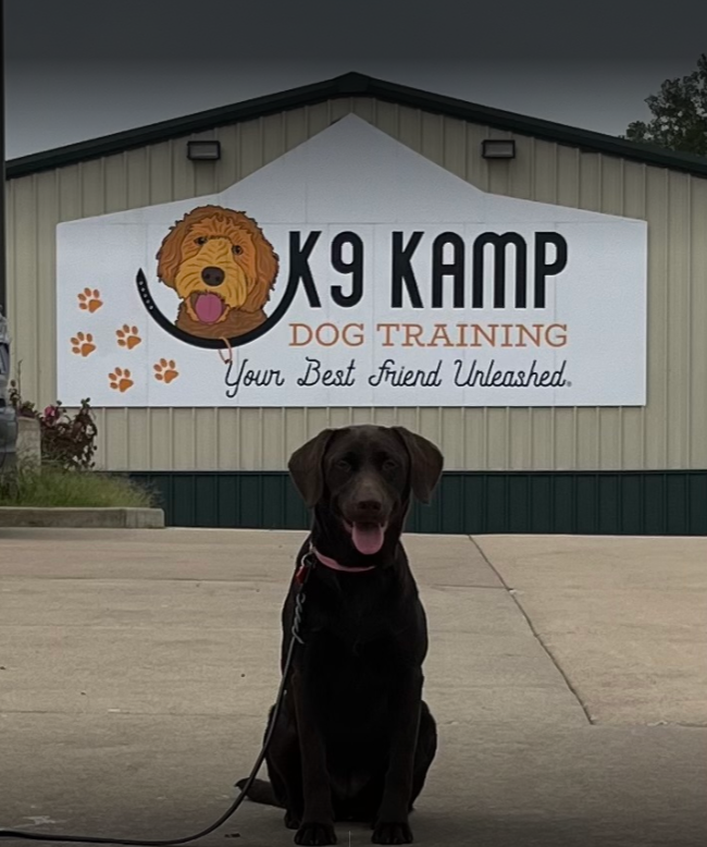 K9 Kamp Dog Training – Missouri
