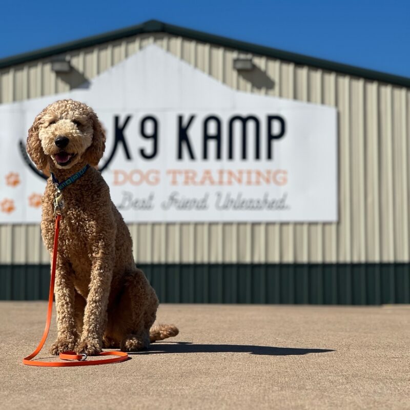 K9 Kamp Dog Training – Missouri