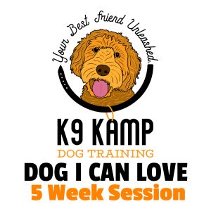k9 kamp dog I can love 5 week