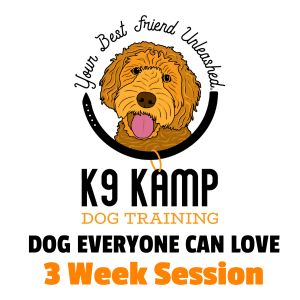 k9 kamp Dog Everyone Can Love 3 week