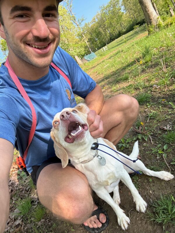 Planning Ahead: Why Early Dog Sitting Preparation Matters