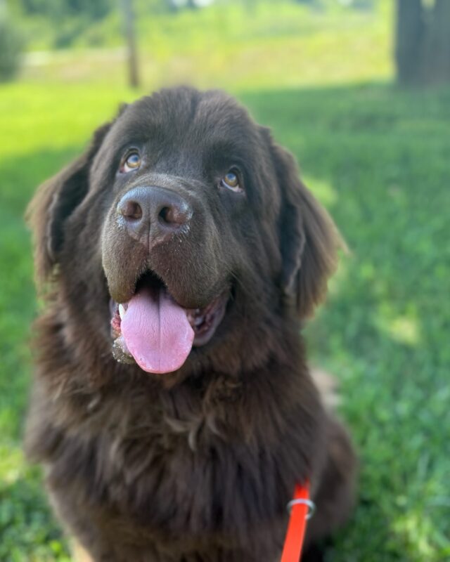 When to Call a Trainer (It’s Sooner Than You Think)